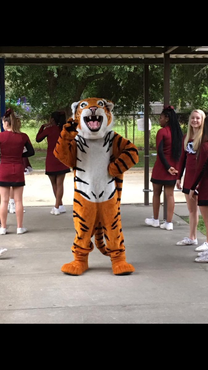 Tigerjimshs1's tweet photo. Homecoming 2016 was one for the books! I hope everyone had a TIGERIFIC week and more to come!
#hoco2016 #tigerific #mascot https://t.co/jZqhKyz8X6