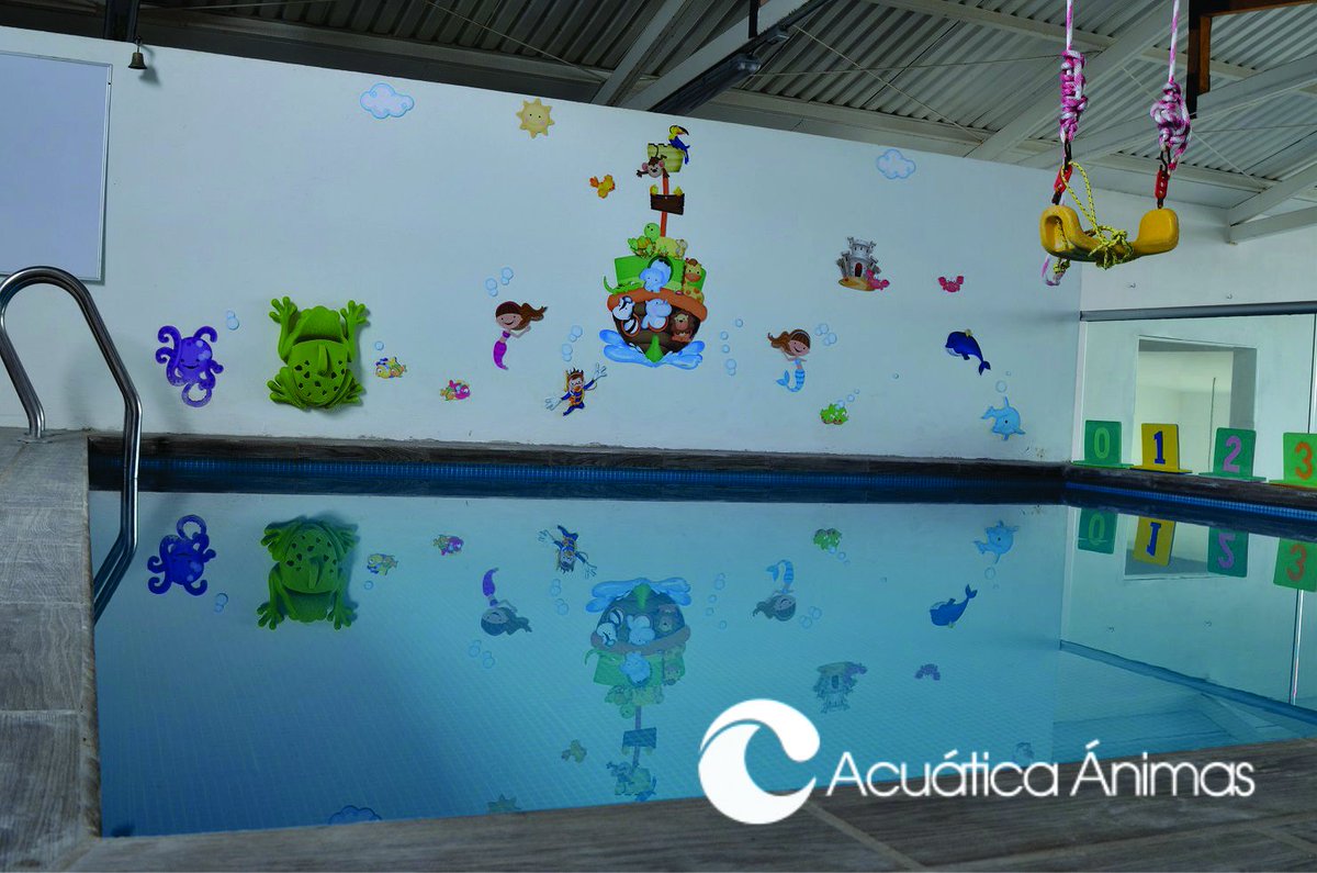 AcuaticaAnimas's tweet photo. En espera de las sonrisas de los más pequeños, iniciamos el sábado #SoyAcuaticaAnimas #NadaComoNosotros #BByYo #ClasesDeNatacion https://t.co/DbvU5UrWwh