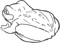 たまはなさんに蛙描いてって言われたから蛙描いた 