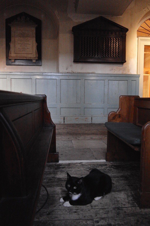 Schrodinger the @ShoreditchChurc cat has been found after a week stuck on a roof in Brick Lane. All sleep peacefully now!