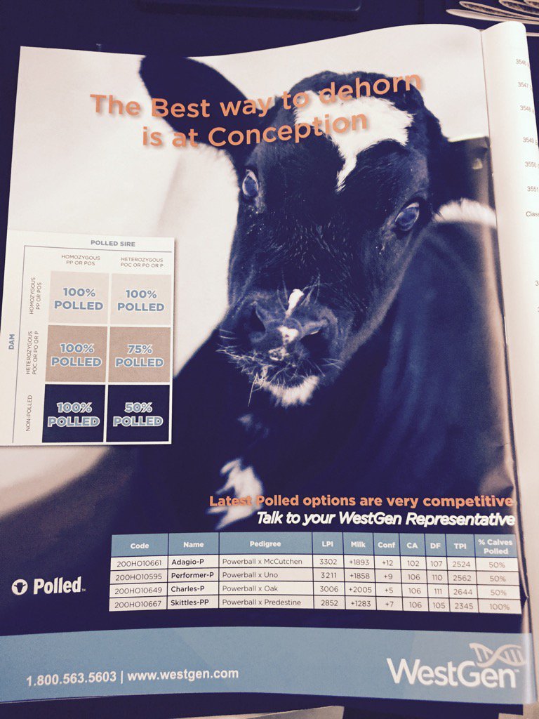 RoyMacGregor11's tweet image. .nice ad in the WDE show catalog. @_Westgen