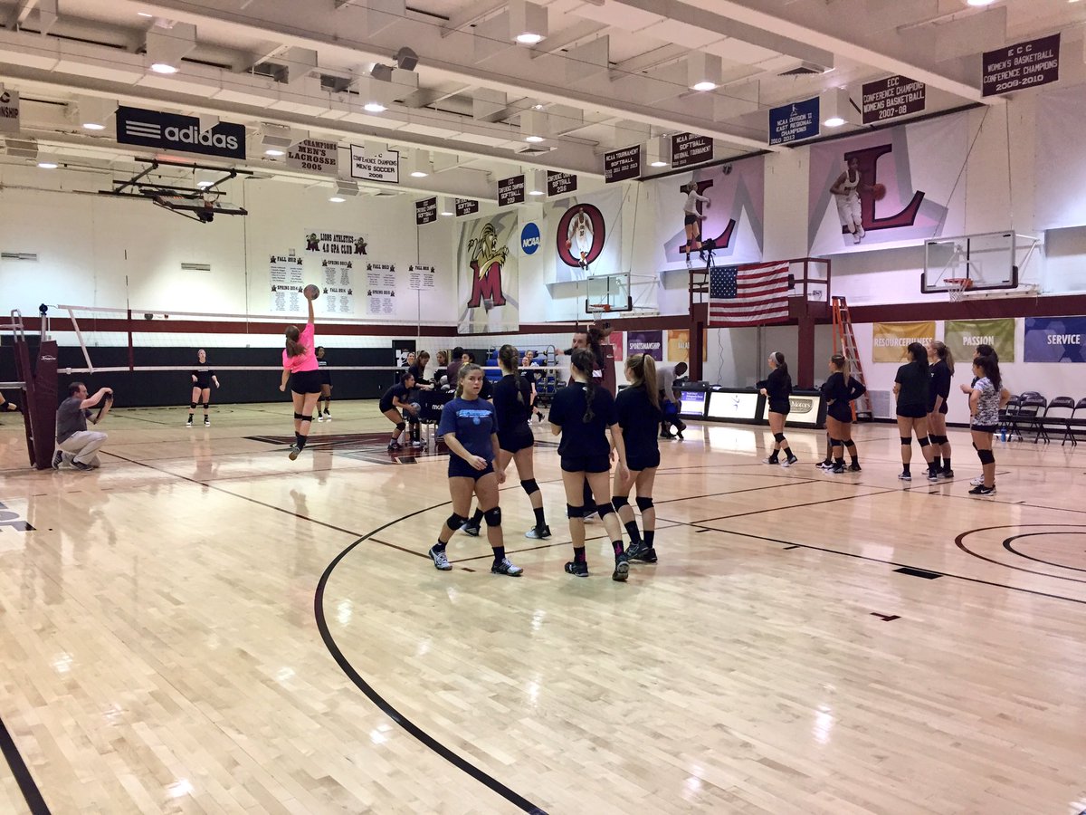 Molloy College VB tweet media