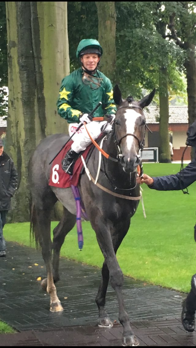 Arazi75's tweet photo. @Goffs1866 @HenryBeeby @fgchantilly @MJR_Middleham @BallylinchStud FRAANKUS looks a colt who will progress again next year #GoodColt https://t.co/euPWecupot