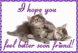 Joyce317jaw's tweet photo. @room9271 So happy you're back home and on the road to recovery, much love ❤❤#PackMate https://t.co/eVT40IPH8s