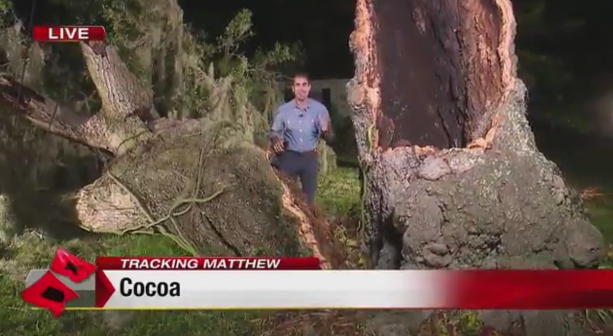In #CocoaBeach, #HurricaneMatthew snapped oak tree in 2 bit.ly/2cYTyIT?utm_me… https://t.co/gMwSm3C3Ps