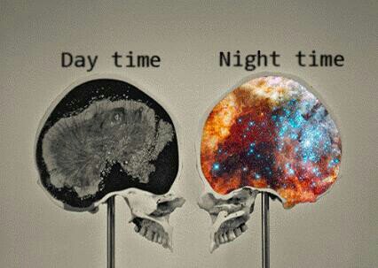 natewang128's tweet photo. is this your brain? https://t.co/mtBoVaSY6V
