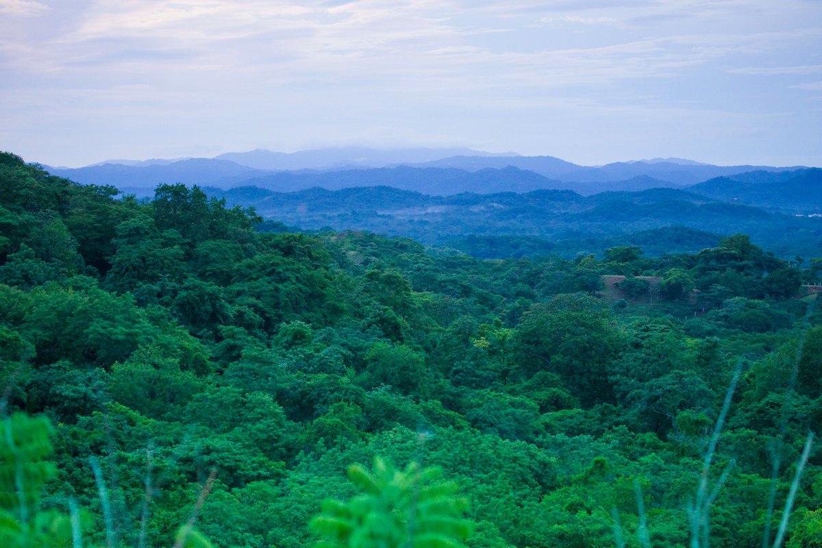 crplayagrande's tweet photo. https://t.co/VU1FpOOMKF

#sustainabledevelopment #liveingrande #costaricarealestate #ecofriendly #gogreen #lapaz https://t.co/25duZb84eO