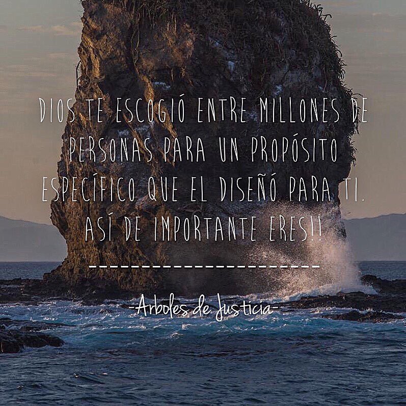 arbolesoficial's tweet photo. Así de importante eres... https://t.co/HEgyJ0jnYR