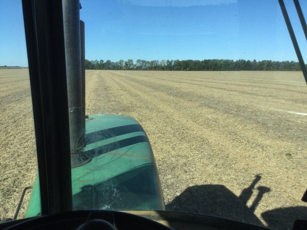 Agridome's tweet image. The view out of my cab #plant16 #wheat