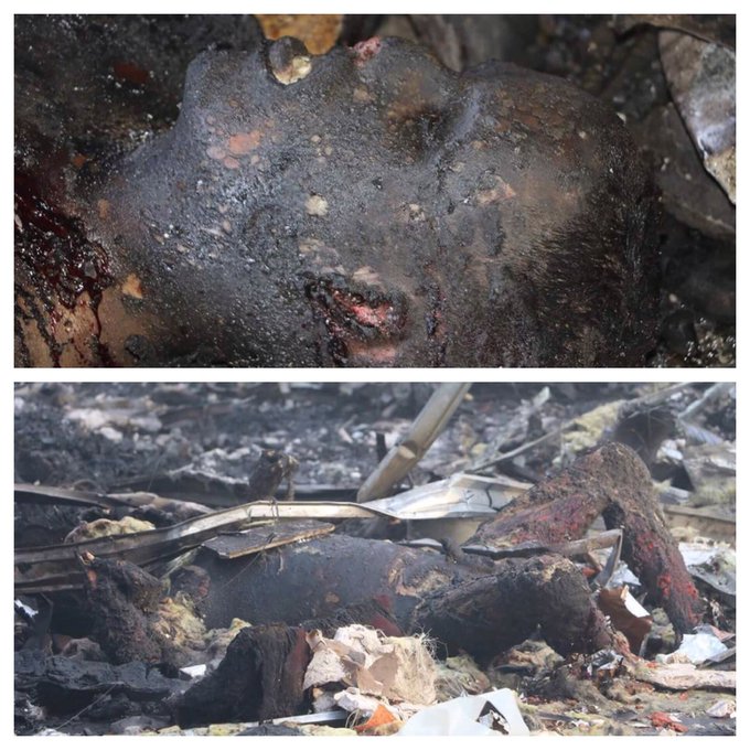 Ver imagem no Twitter