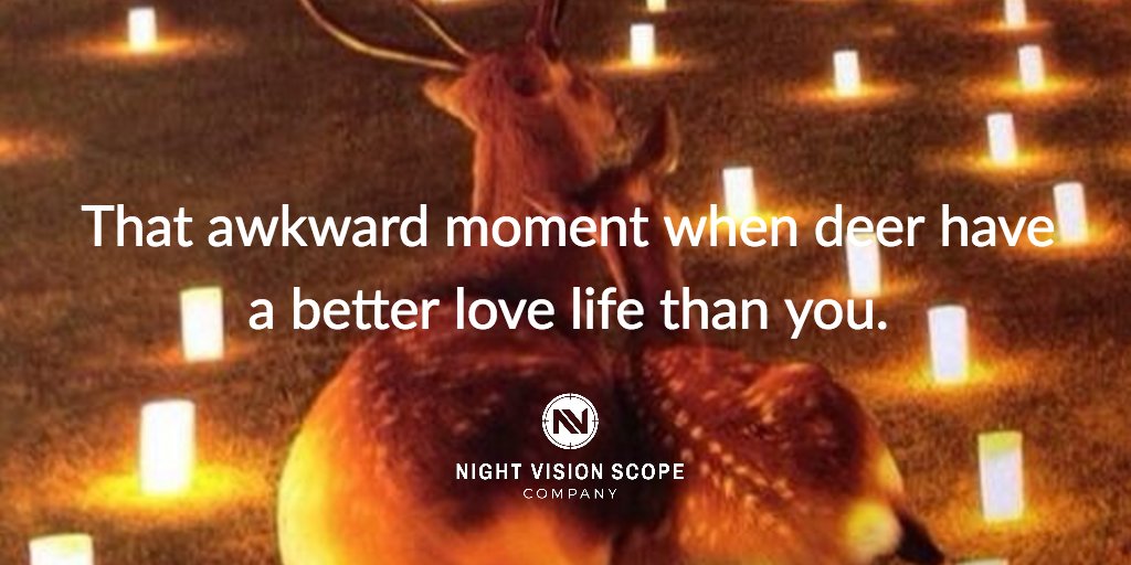 NVScopeCo tweet picture