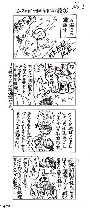 【ムスメがうまれるまでの話③】
続き!妊娠初期、つわり重症化とちょっとしたハプニングの回です。
#産前 #妊娠出産 #レポ漫画 