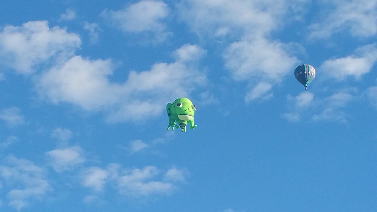 FROGG!!!