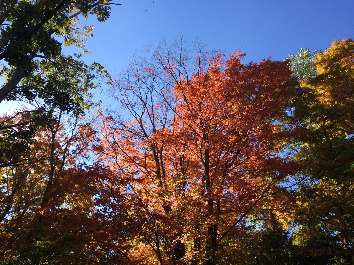 sgwint's tweet photo. #rougewalks https://t.co/N9z9iIDRZY