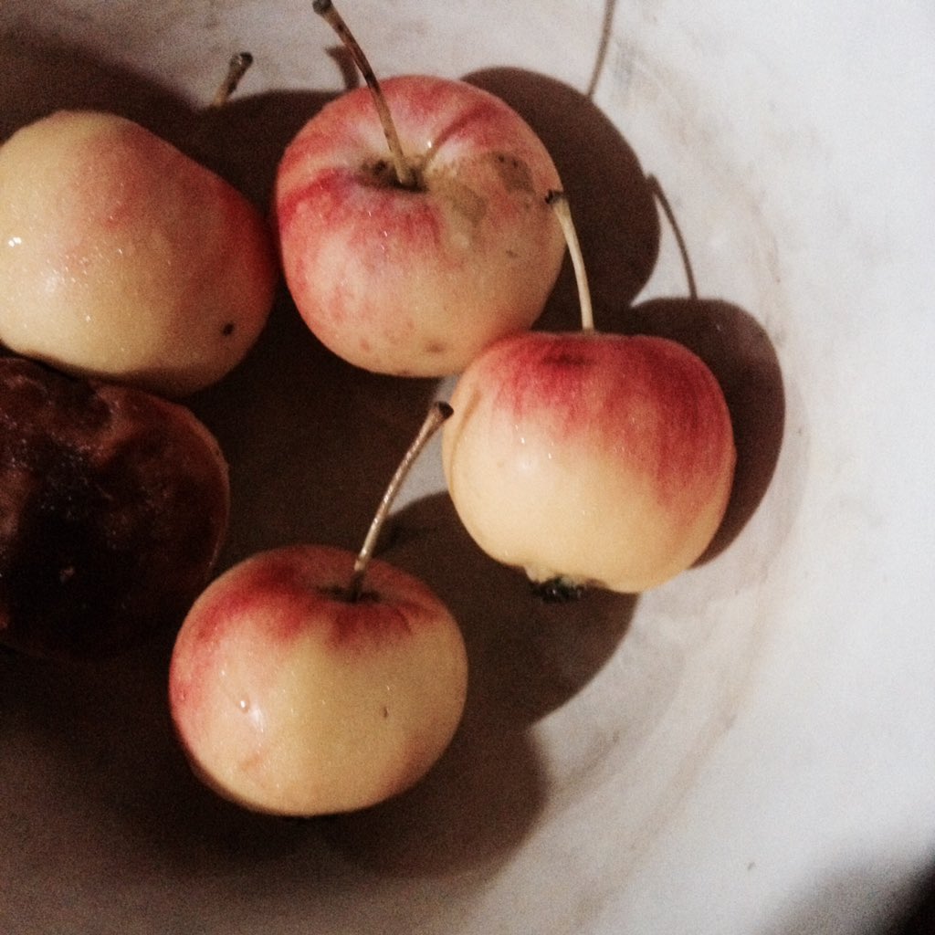 jmeldwinnn's tweet photo. Midnight Snacks. 
#CherryApple https://t.co/5zzdVFnRoZ