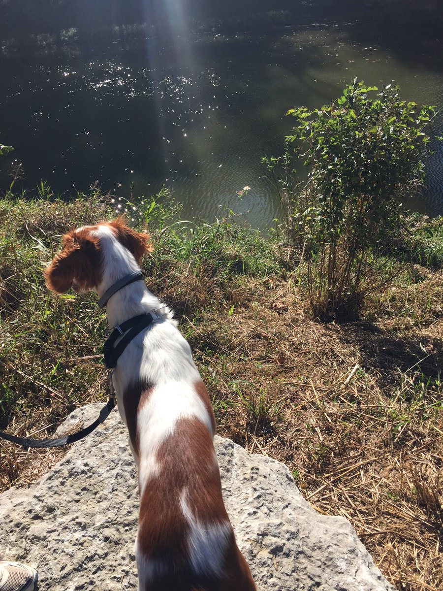 DempseyAlward's tweet photo. Loving this fall morning! @ladyjane827 @KennyAlward https://t.co/Gi0RL1boac