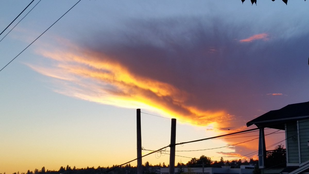 HavenHill Guesthouse tweet media