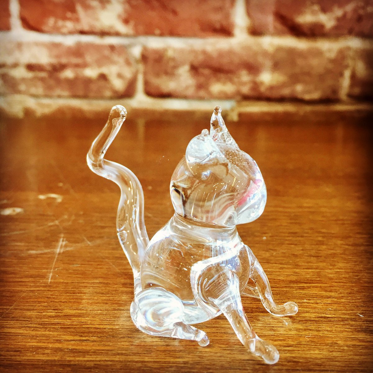 gerbeglass's tweet photo. Rainy #Caturday afternoons are purrfect for shopping. #thinkglass #cat #LovePGH https://t.co/F597dC5rmF