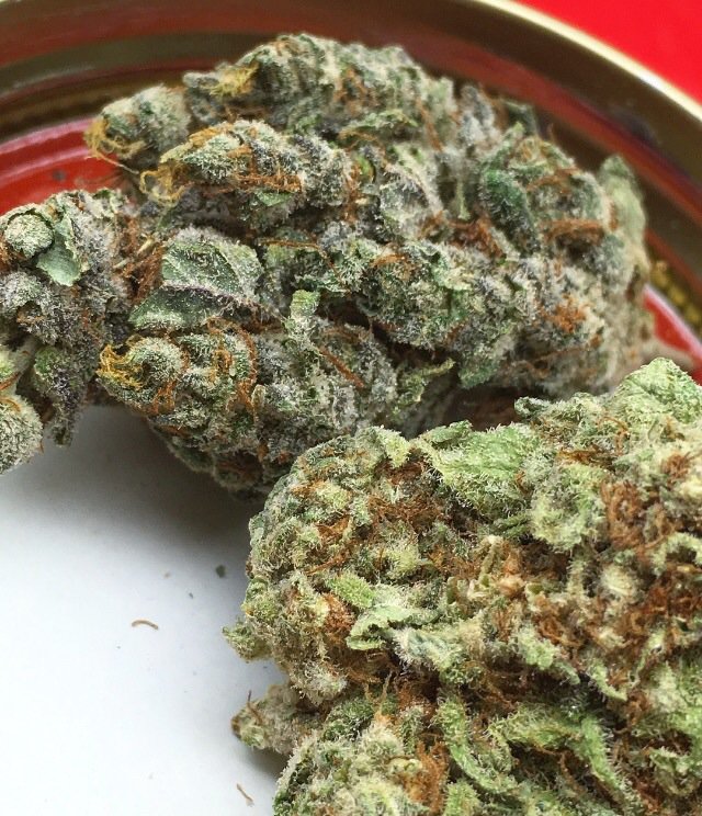 theweedmanpics's tweet photo. Ill take mine #extrafrosty, thanks #ThemCrystalsTho #smoke #thc #weed #marijuana #cannabis #bud #nug #nugporn #theweedmanpics https://t.co/LE8HMU2qNy