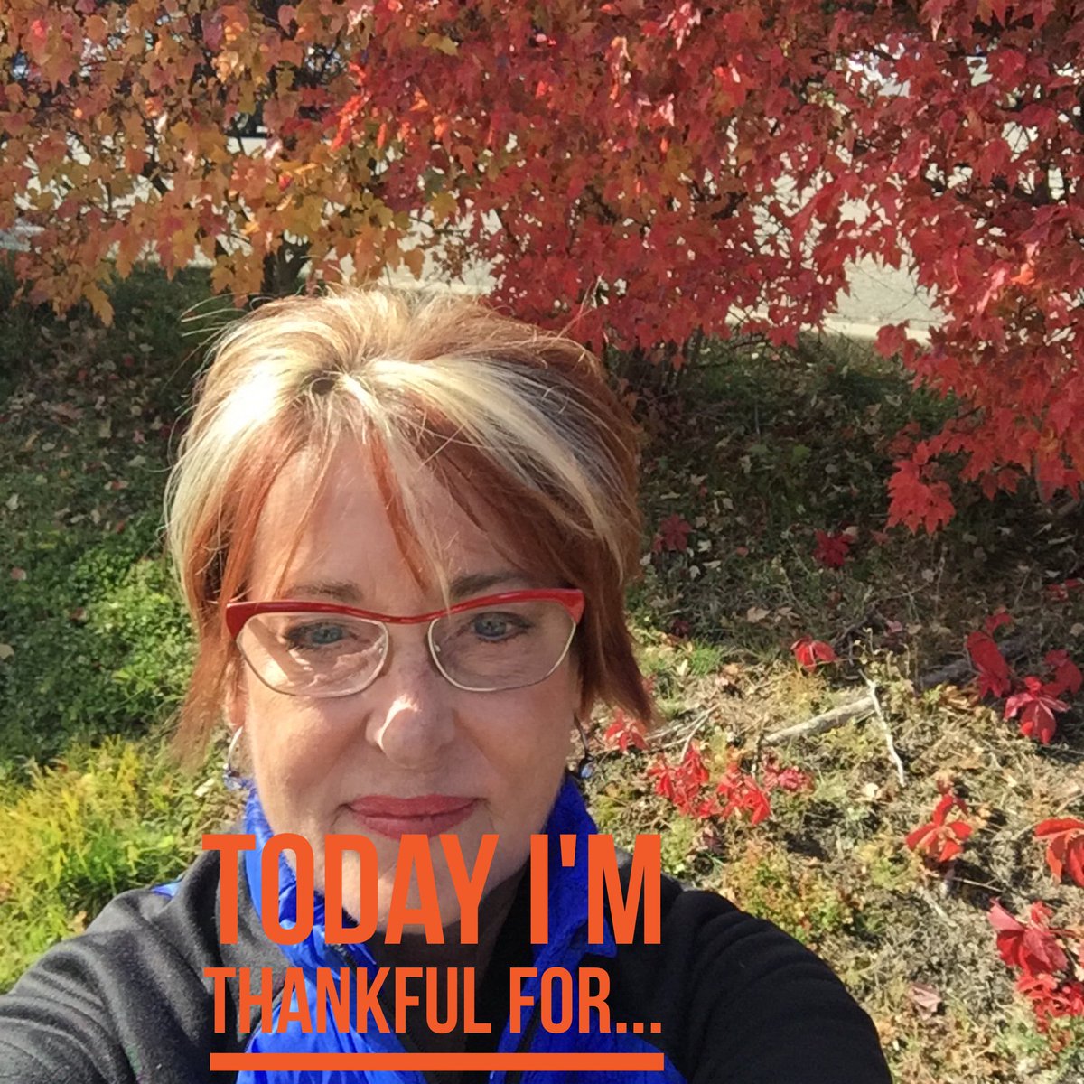 heidiheart's tweet photo. ...fresh vegetables, online banking, hot showers, pedicures, our politics, and my husband who vacuums! What about YOU?
#restlessformore https://t.co/J110K0Kpng