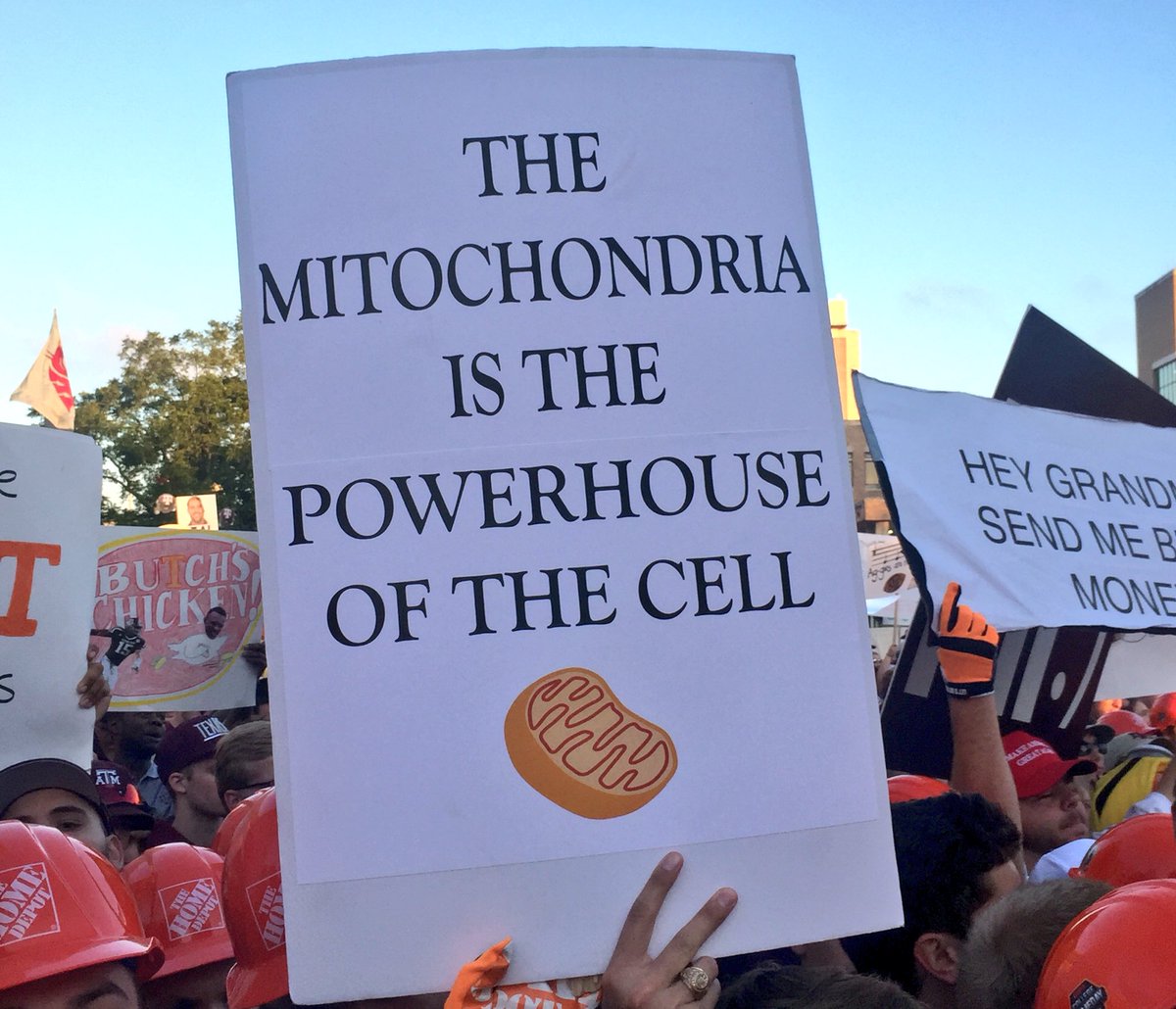 CollegeGameDay's tweet photo. Seems unrelated https://t.co/s5YOv0jRf4