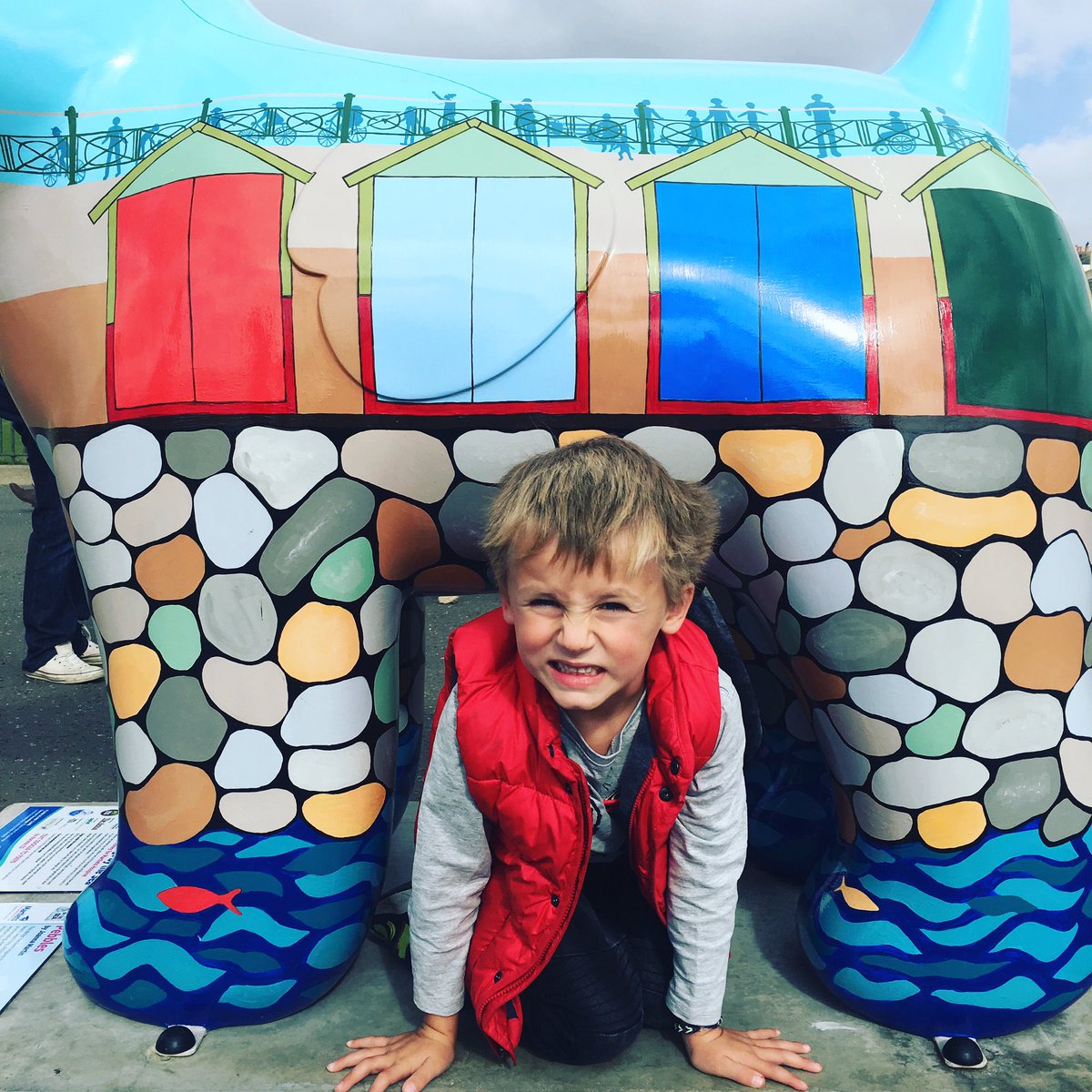 clivepbrooks's tweet photo. Pebbles #BrightonSnowdogs https://t.co/JIaxGLcb2M