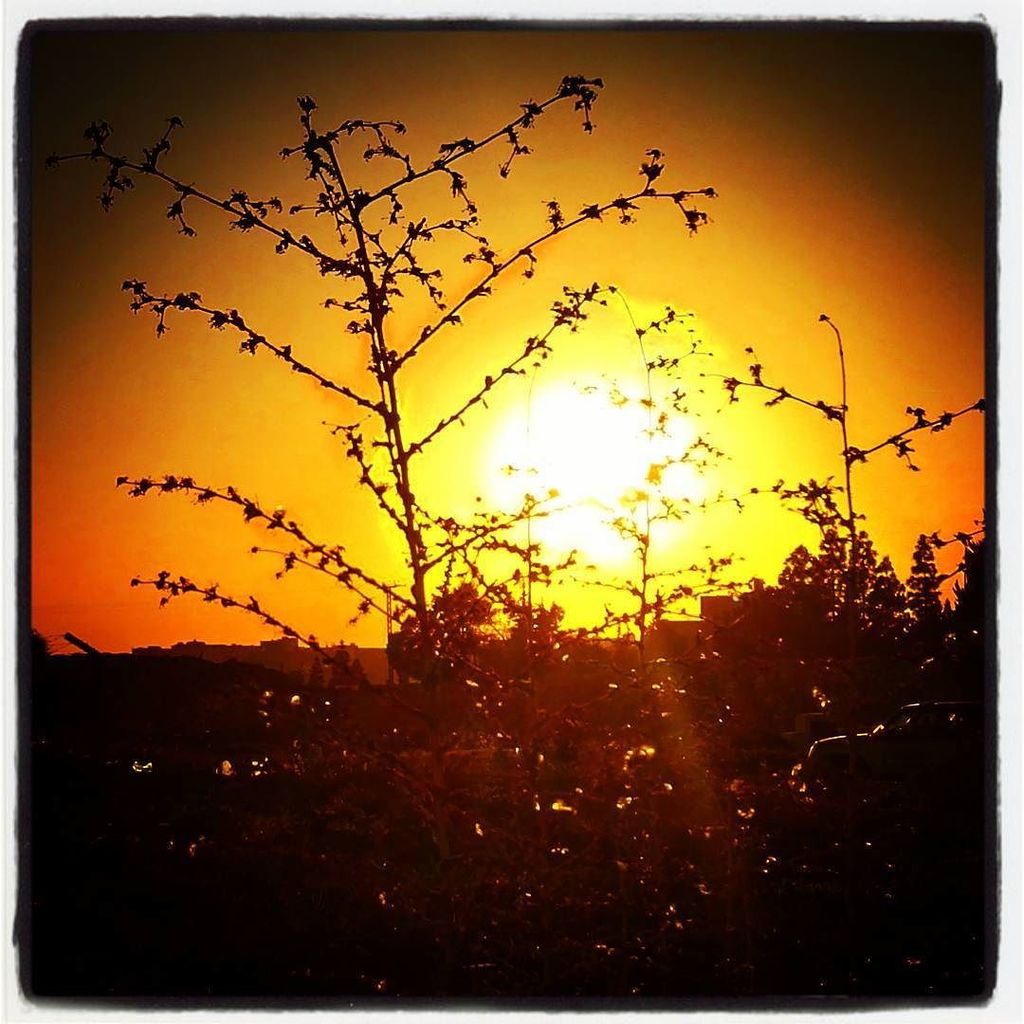 rula_z's tweet photo. #sunset over #amman #jo #instanow :) #sunsets #sunsetlovers #sunset🌅 #sunsetporn #sunset_h… https://t.co/ETiL7stp0r https://t.co/UxXocwS3mW