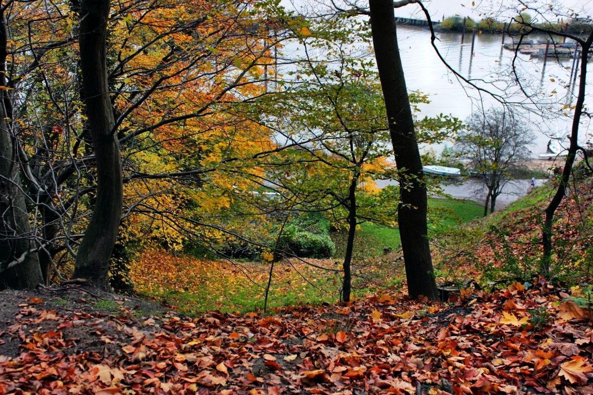 PPSKBAS's tweet image. 