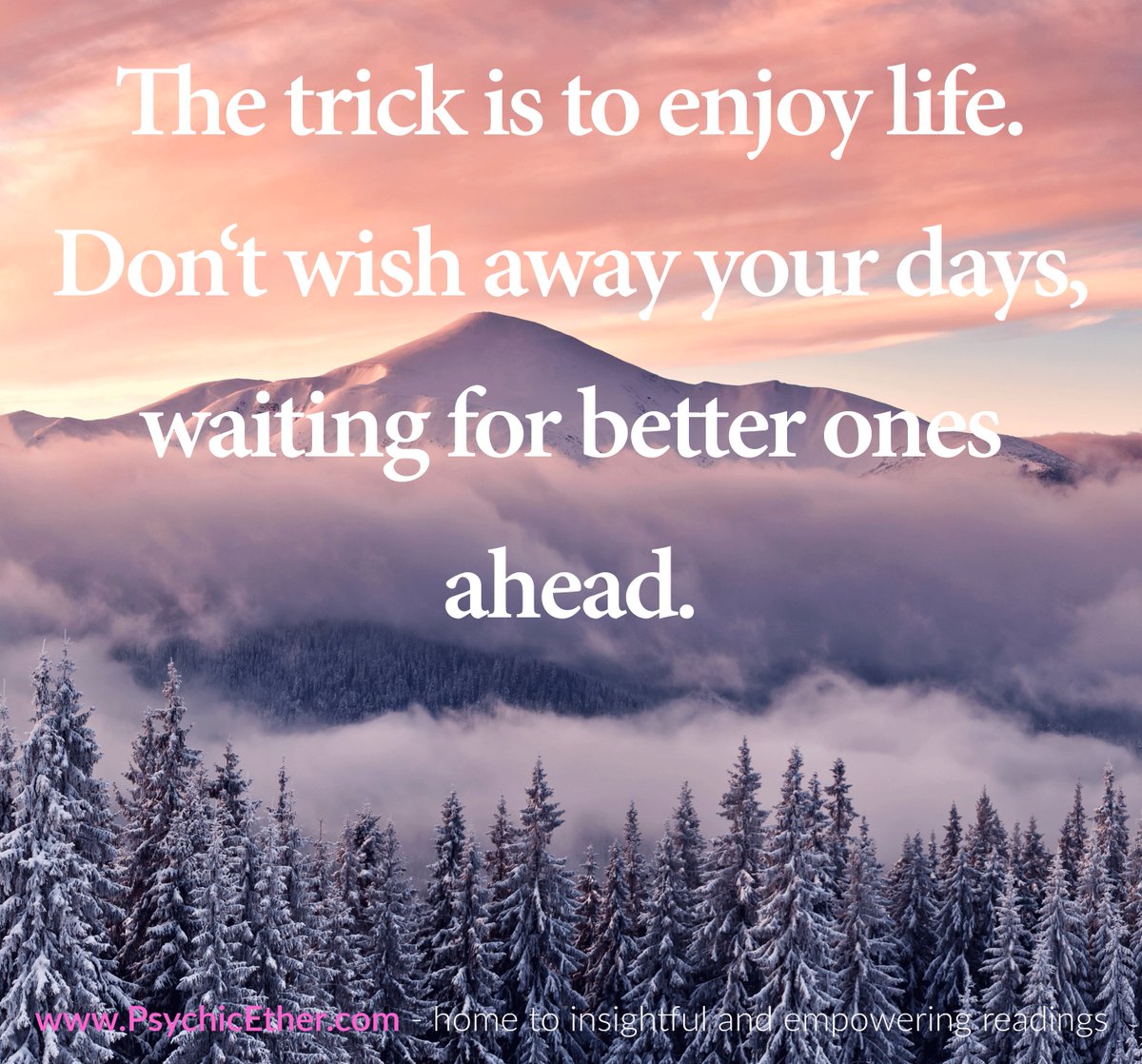 PsychicEther's tweet photo. #QOTD #PsychicEther #DerekAcorah https://t.co/TBtYk5vgB5