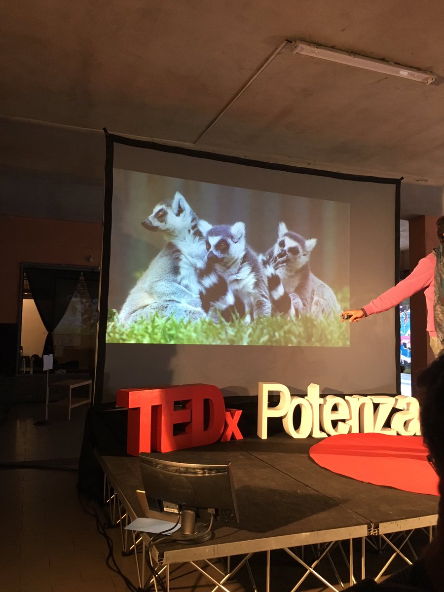 Zigafoundry's tweet photo. Si parla di #coworking a #TEDxPotenza e di #impresa #coltelli #condivisione (in foto i #beautifullyugly coworkers) https://t.co/PQ5VXklyER