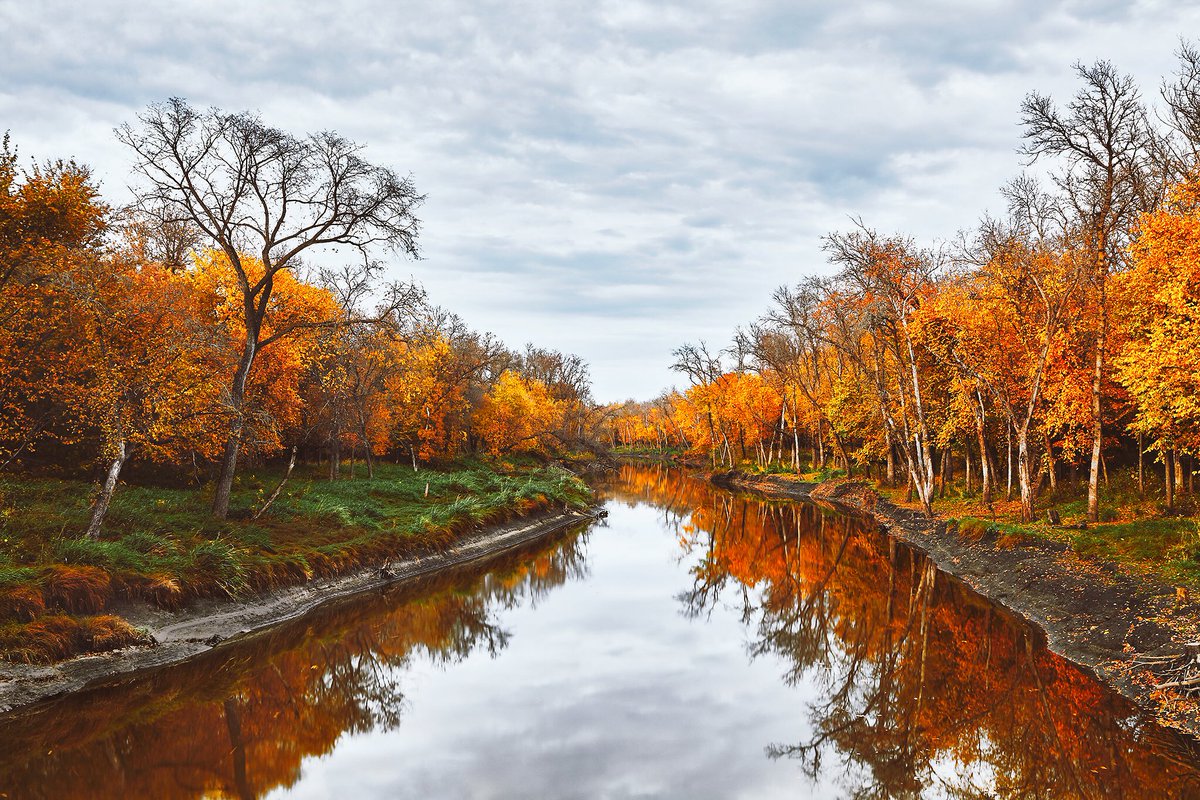 RejeanLandscape's tweet photo. 📷 the #autumn colours at La Barriere Park #Manitoba before they disappeared. 🍂 #exploremb https://t.co/OanXMgaaBN https://t.co/r3apH3AgAe