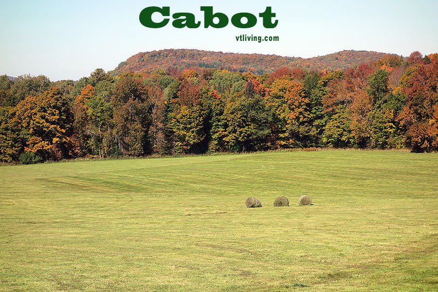 vtlivingcom's tweet photo. Colorful CABOT - https://t.co/LfsdzvZv0L #cabot #cabotcheddar #cabotcheese #cheese #vtcheese #vttowns #danvillevt #cabotvt #vtlife #vtliving https://t.co/6Rzo5P93I9