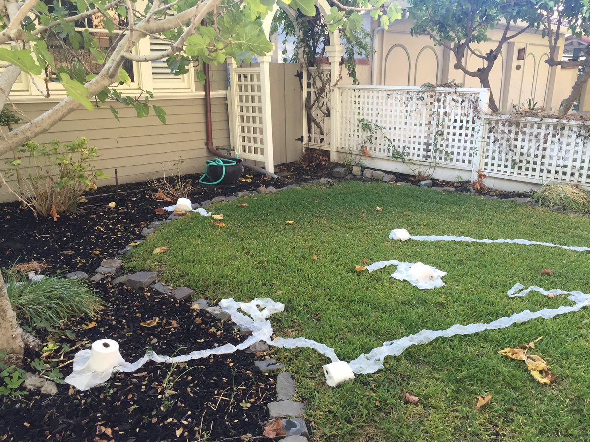 Robertalberino's tweet photo. To millennials (and my neighbors).  Please consult an old head when attempting a fall tradition. This is shameful. #TPfail #ragarm https://t.co/2tj68jJtWl