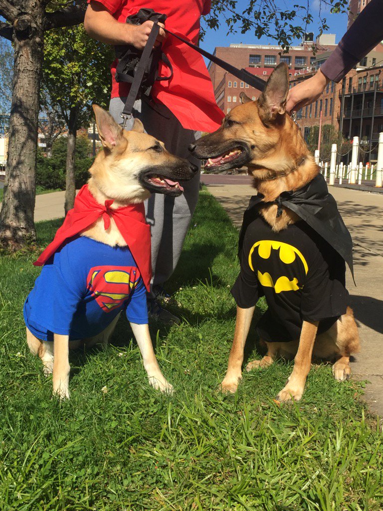 Super heroes are showing up for the <a href="/dtCLEdogpark/">dtCLE Dog Park</a> birthday party!