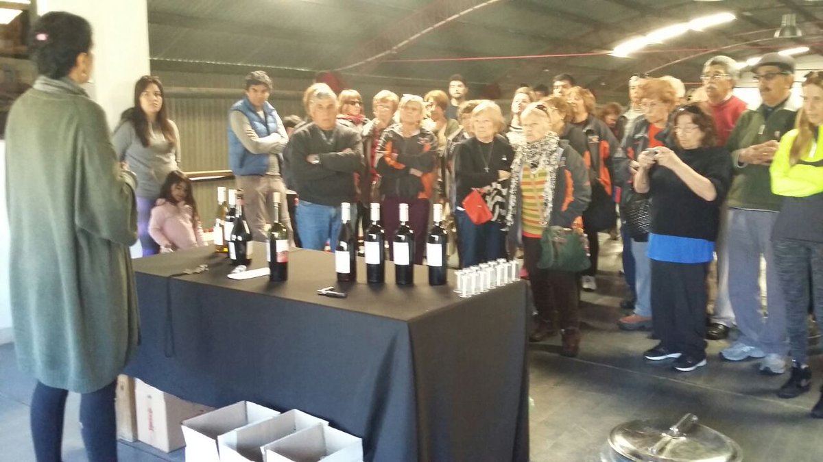 TurismoSanca's tweet photo. Inicio finde largo con adultos mayores. visita Bodega Saldungaray https://t.co/PtJqJe5Igw