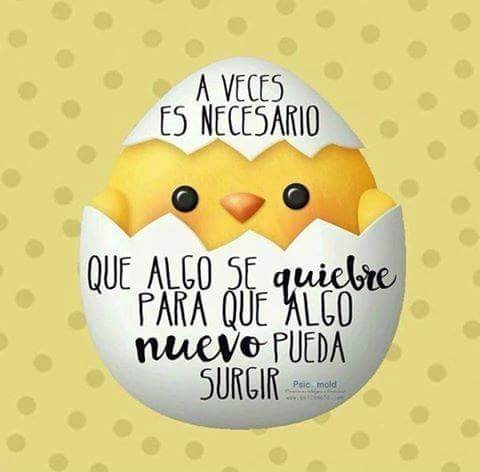 AmarantoTO's tweet photo. #Superación #FelizSabado colegas! https://t.co/It1JBPXy5H