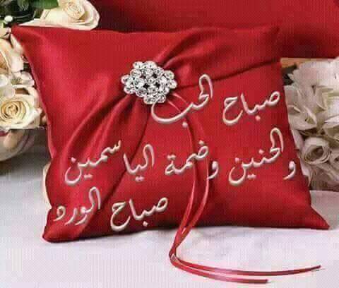 SayedFathe1's tweet image. 