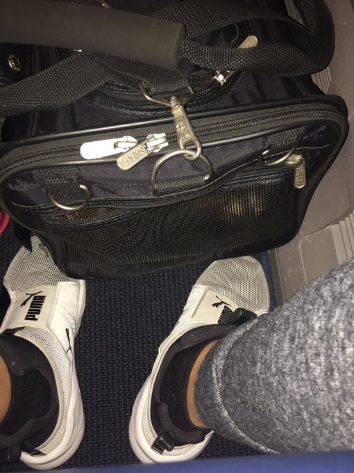Back to LA w/ these 2 Gotta get ready for show #2 tonight from the best band everrrrrr. #DixieChicks<a href="/tag/la"class="tags"><span>#la</span></a><a href="/tag/forum"class="tags"><span>#forum</span></a><a href="/tag/yorkies"class="tags"><span>#yorkies</span></a><a href="/tag/dixiechicks"class="tags"><span>#dixiechicks</span></a><a href="/tag/mmxvi"class="tags"><span>#mmxvi</span></a><a href="/tag/dcxl"class="tags"><span>#dcxl</span></a>