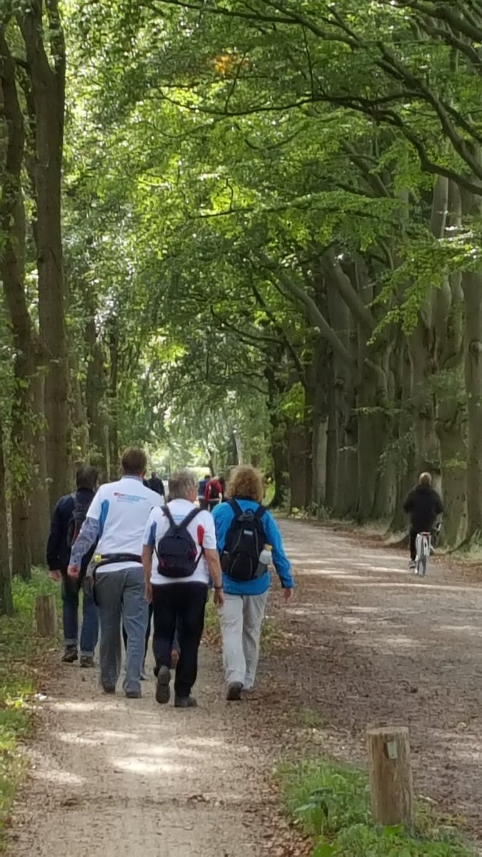 BeaPinkert's tweet photo. @BvdGF Hilversum Diabetes Challenge is volbracht! Hulde aan de lopers. See you vlg week in Apeldoorn #BvdGf https://t.co/hJnQSaHVDe
