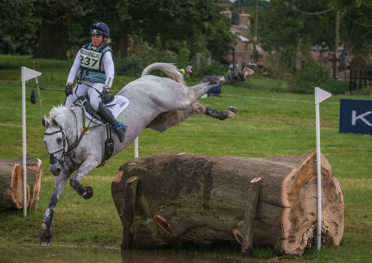 Kitty King tweet media