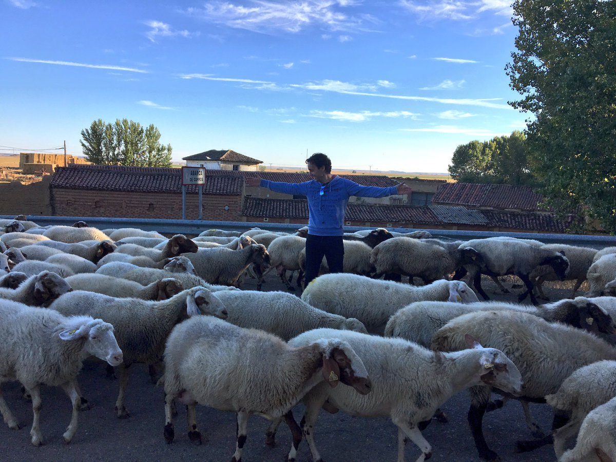 Me acabo de encontrar en un atasco. Sólo que no era de coches…