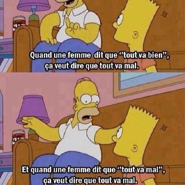Hakaichin's tweet photo. Il a tout dit Homer. https://t.co/dTaKSkZPjA
