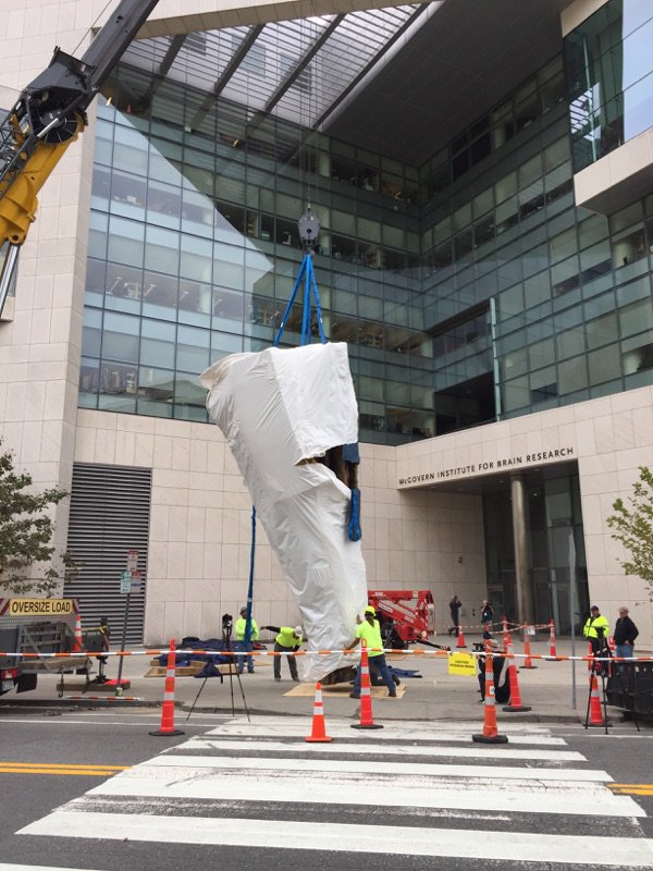 mitlistarts's tweet photo. Happening now! New #PublicArt @MIT #UrsulavonRydingsvard's monumental sculpture SCIENTIA being installed @mitbrainandcog #mitlist https://t.co/96HFhhsJmb