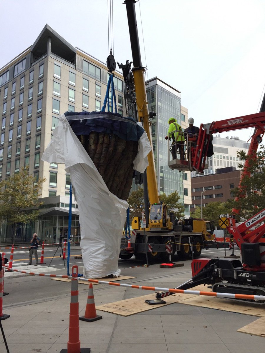 mitlistarts's tweet photo. Happening now! New #PublicArt @MIT #UrsulavonRydingsvard's monumental sculpture SCIENTIA being installed @mitbrainandcog #mitlist https://t.co/96HFhhsJmb