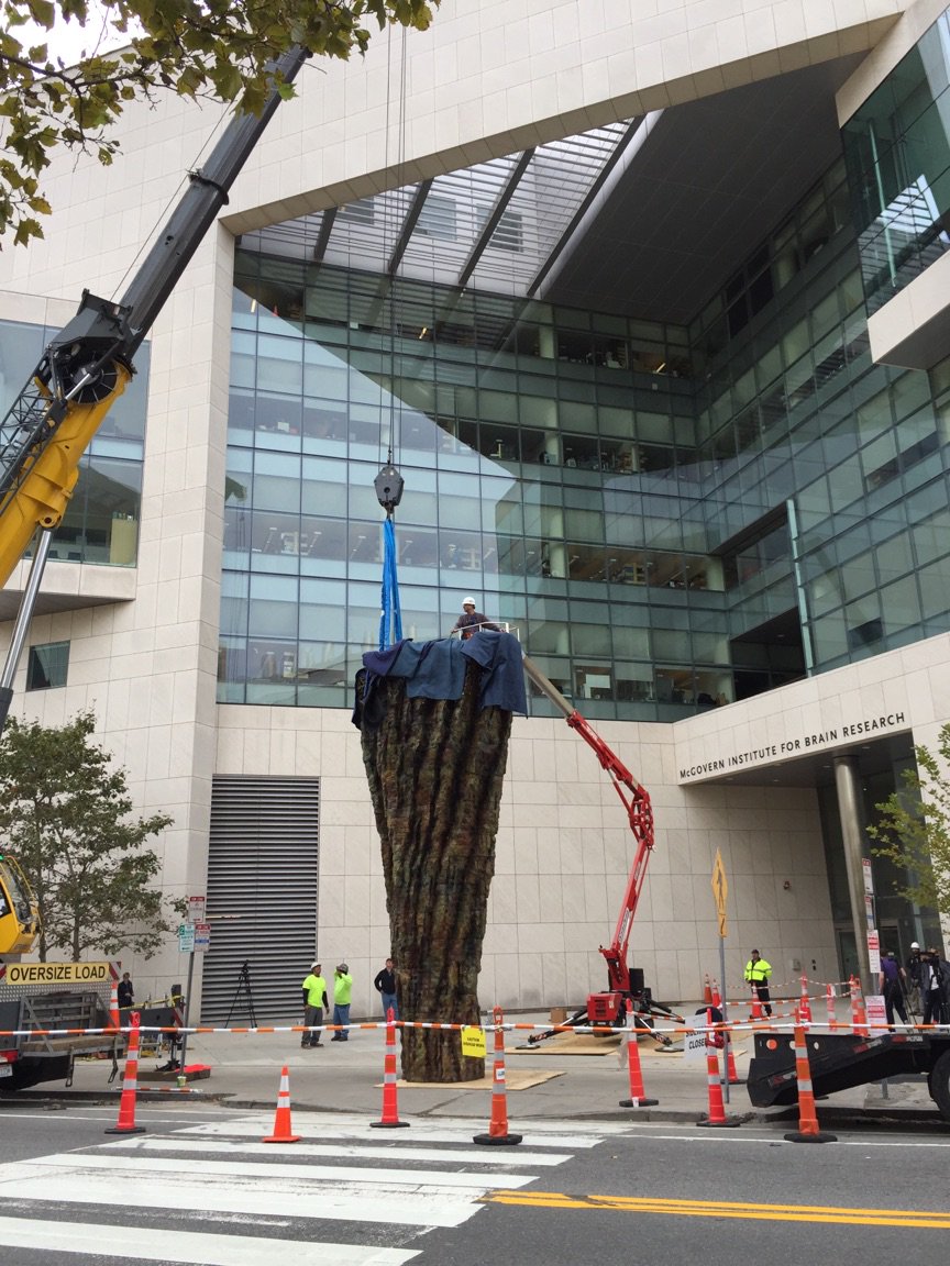 mitlistarts's tweet photo. Happening now! New #PublicArt @MIT #UrsulavonRydingsvard's monumental sculpture SCIENTIA being installed @mitbrainandcog #mitlist https://t.co/96HFhhsJmb