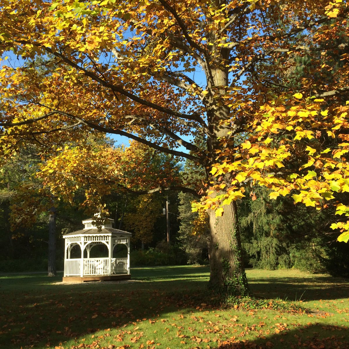 RabbitRunInn's tweet image. Enjoy a fall color getaway to SWMichigan at Rabbit Run Inn, hour's drive from Chicago! We'll prepare your fall visit, call 269-405-1050