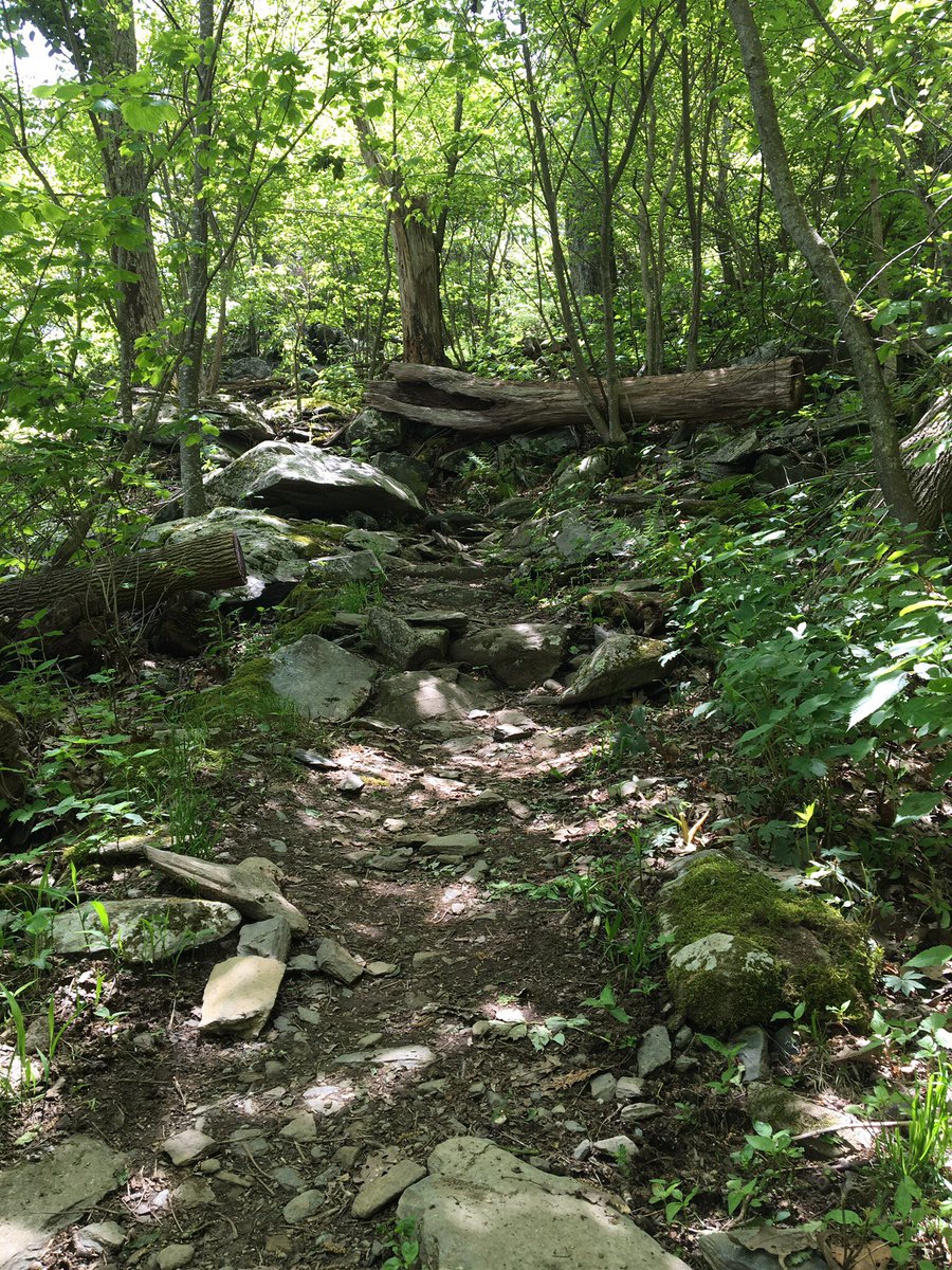 drikli82's tweet photo. @VIVOBAREFOOT Appalachian Trail https://t.co/3BtuHA66Es