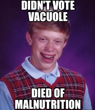 therealVacoule's tweet photo. Without vacuoles we would have no healthy plants. Which means no food for animals or us. #organellesFTW #votevacuole https://t.co/upyAwT6iDK