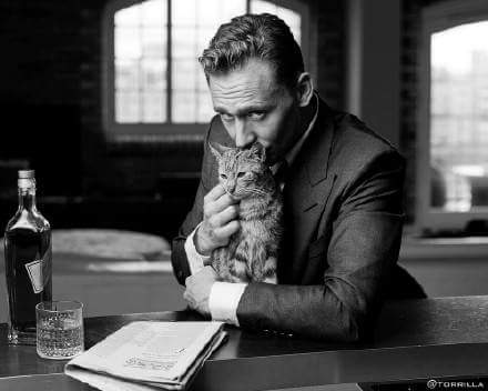 EdelmanSara's tweet photo. Me when I see at cat https://t.co/Fb4fR4OiQi