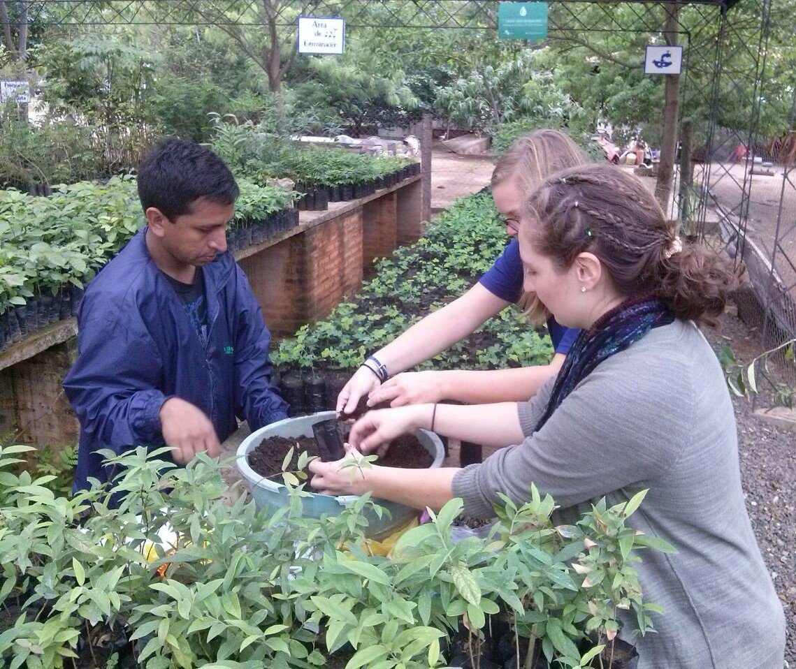 atodopulmonPY's tweet photo. Aspirantes del @CuerpoDePaz visitaron nuestro vivero de Ñu Guasu para conocer nuestro estilo de trabajo. #PCPY #PeaceCorps https://t.co/LcursmMg87